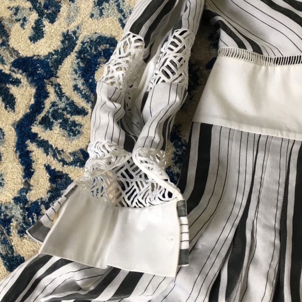 Zac Posen Organdy Stripe Black White Dress $1290! - Picture 13 of 14